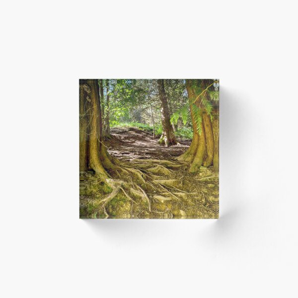 Item preview, Forest in Blaencwm. designed and sold by leebee101.