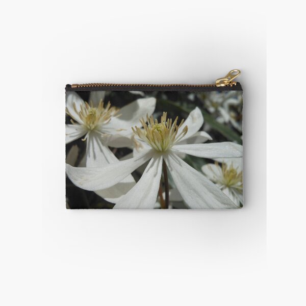 Item preview, White Clematis designed and sold by Kashmere1646.