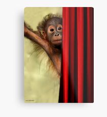 The Amazing Kasih Metal Print