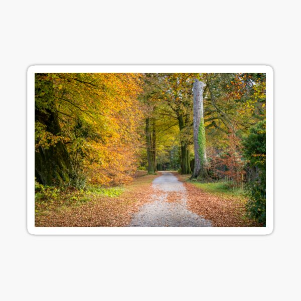 Autumnal Walkway Sticker