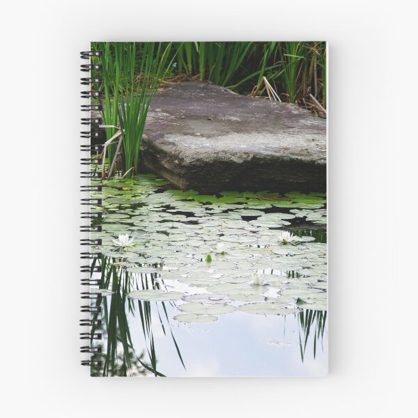 Item preview, Rock In The Pond designed and sold by Gary Benson.