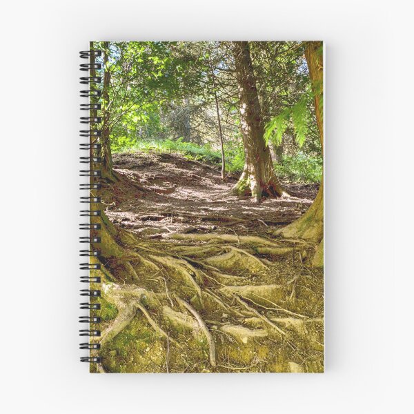 Item preview, Forest in Blaencwm. designed and sold by leebee101.