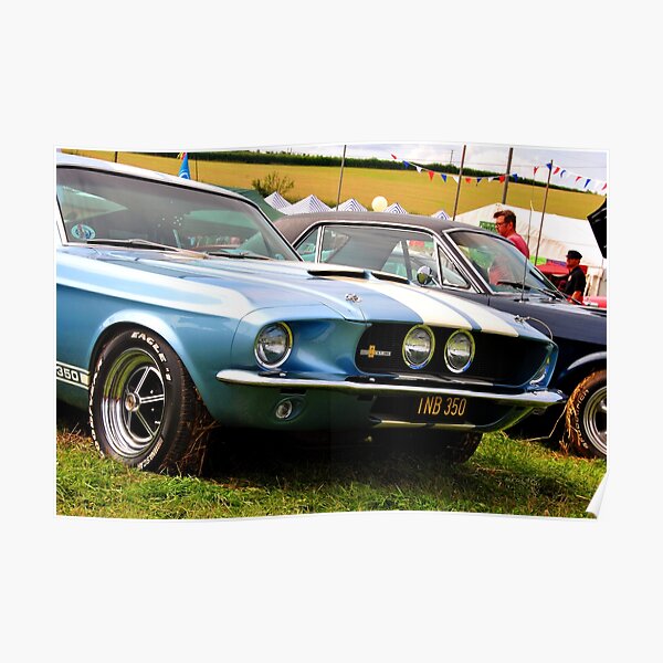 Ford Mustang Shelby Gt 350 Poster For Sale By Andyevansphotos Redbubble 6739