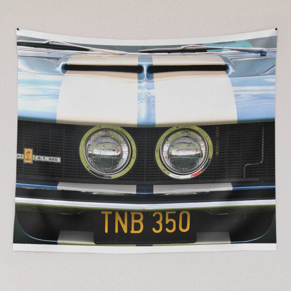 Item preview, Ford Mustang Shelby GT 350 designed and sold by AndyEvansPhotos.