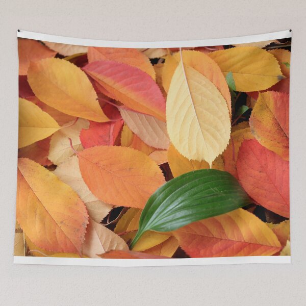 Item preview, Colorful autumn leaves on nature background designed and sold by olena2552.