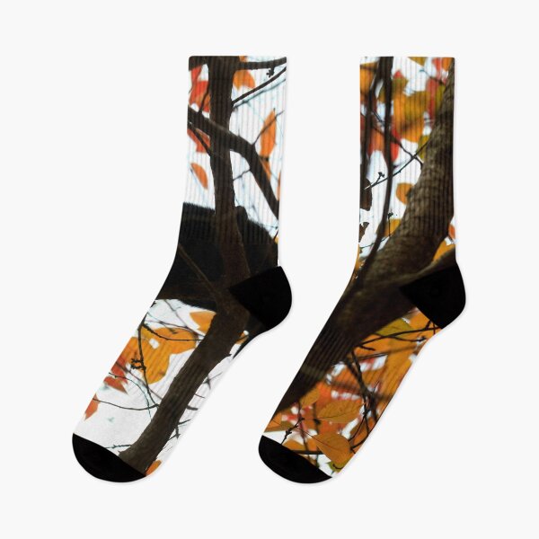 Item preview, Black cat sitting on tree designed and sold by olena2552.