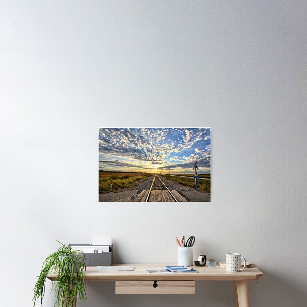 Item preview, Poster designed and sold by LynyrdSky.