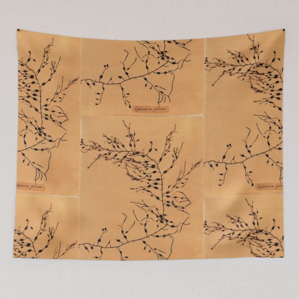 Item preview, Vintage Algae designed and sold by Speckle.