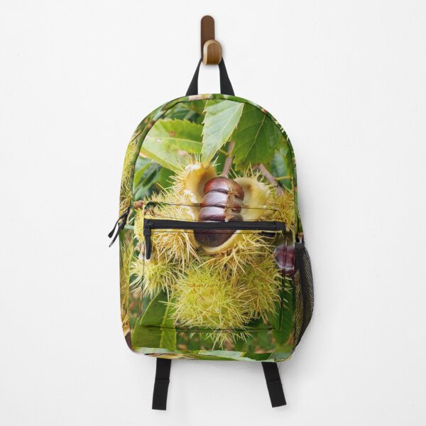 Item preview, Chestnuts designed and sold by pinkal.