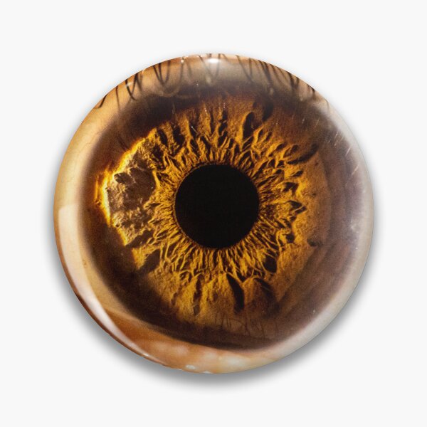 Item preview, Brown eye designed and sold by KGPhotoArt.