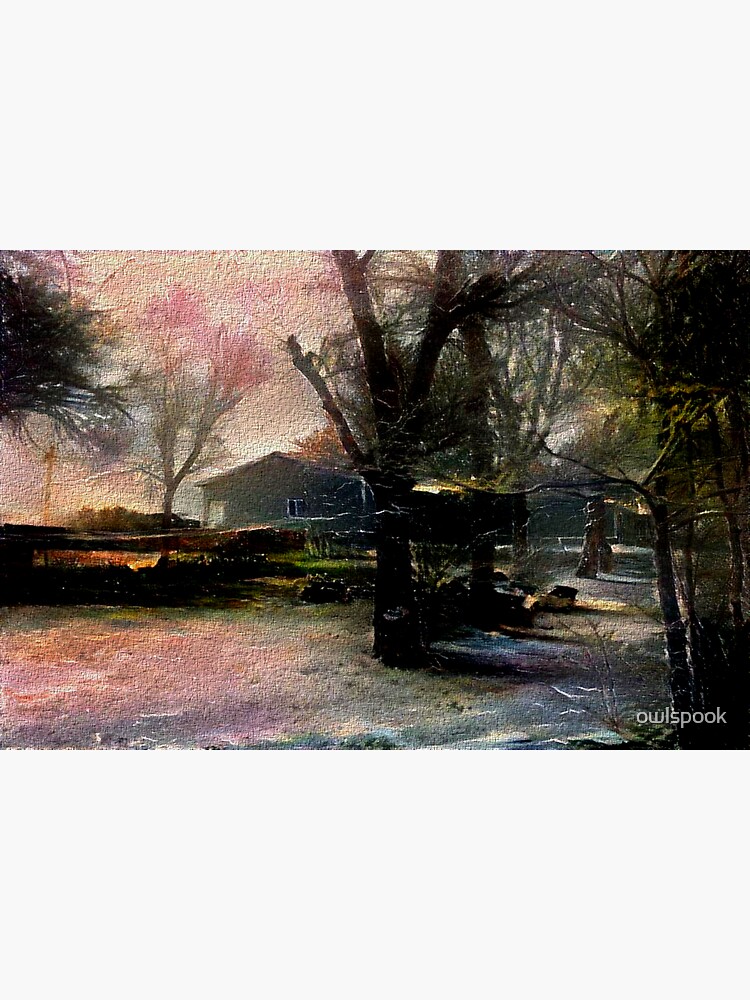The View From My Back Door by owlspook