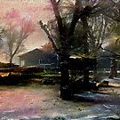 The View From My Back Door by owlspook