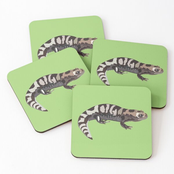 Item preview, M is for Marbled Salamander,Marbled Salamander – Striking Woodland Amphibian Illustration designed and sold by PrettylittlepastelUk.