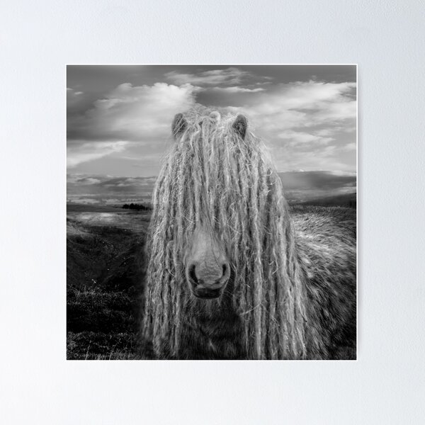 Dreadlock Stallion Poster