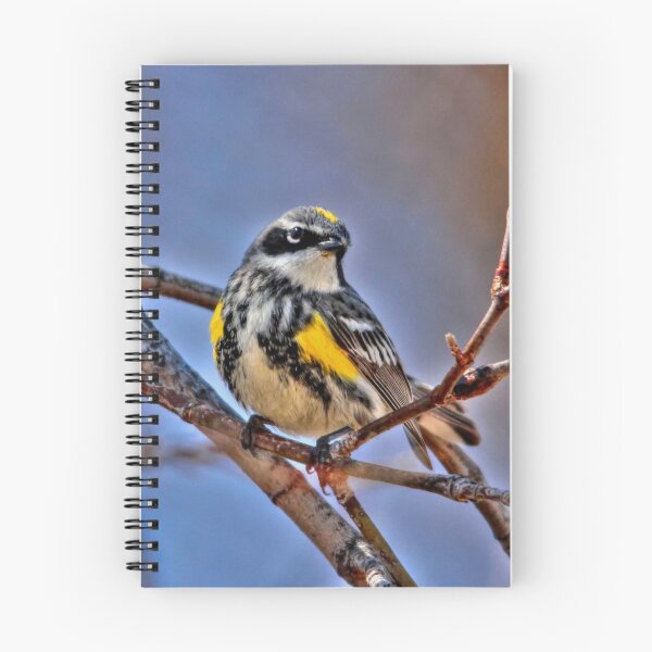 Item preview, Yellow Rumped Warbler designed and sold by Larry Trupp.