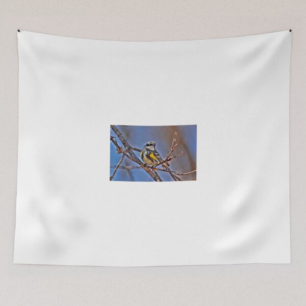 Item preview, Yellow Rumped Warbler designed and sold by Larry Trupp.