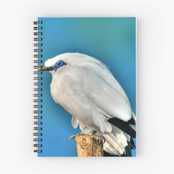 Item preview, Bali Starling designed and sold by Larry Trupp.