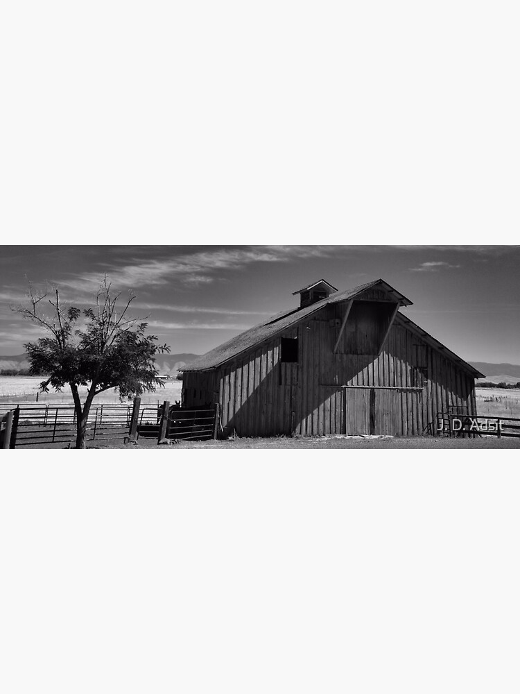 A Black & White World by adsitprojectpro