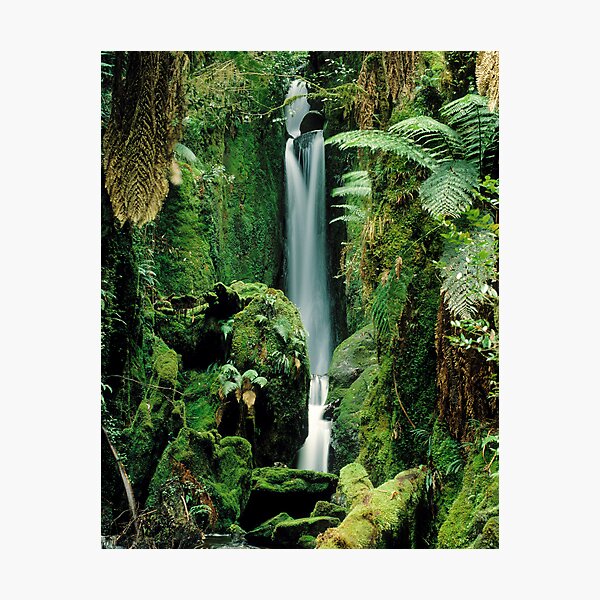 Item preview, Errinundra Waterfall, Victoria, Australia. designed and sold by Ern Mainka.