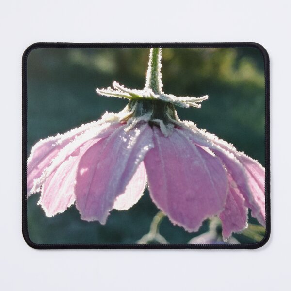 Item preview, First Autumn Cold designed and sold by Natalie-Urda.