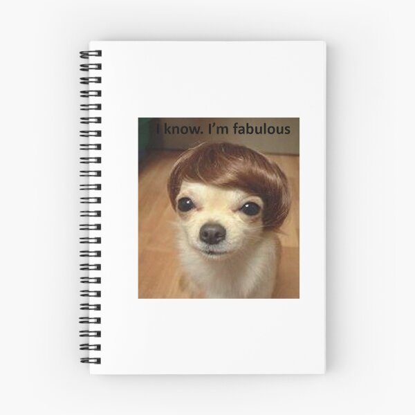 Item preview, Fabulous Dog Dank Meme designed and sold by BetterLeo.