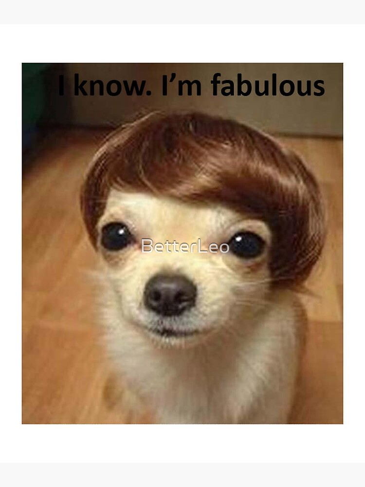 Disover Fabulous Dog Dank Meme Premium Matte Vertical Poster