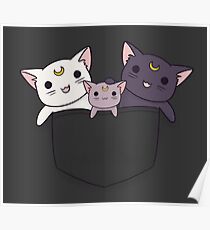 Pocket Kitties (All 3) Poster