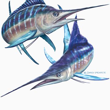 Striped Marlin Kids T-Shirt for Sale by David Pearce