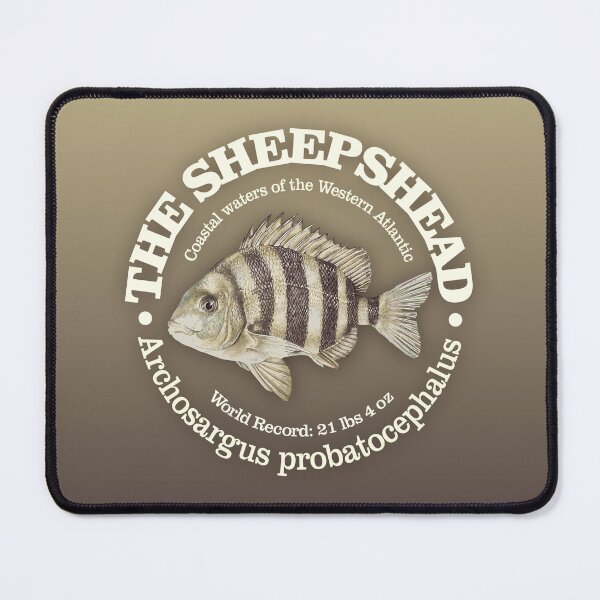 Item preview, Sheepshead designed and sold by curranmorgan.