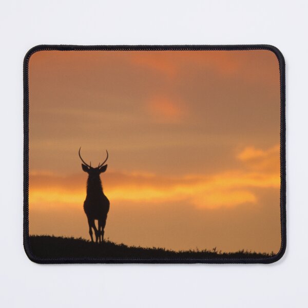 Item preview, Stag Silhouette designed and sold by Macrae images.