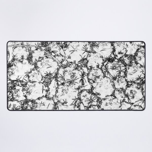 Item preview, Cactis in Black & White by Iritof designed and sold by iritof.