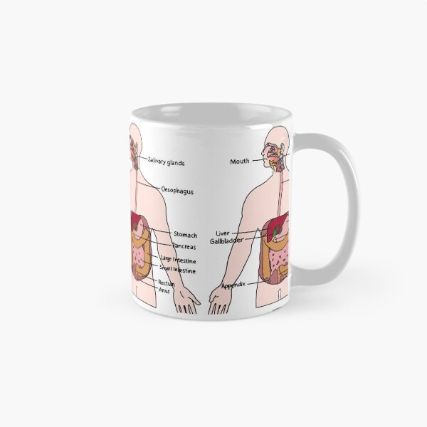 Item preview, Digestive System designed and sold by daisykelly1.