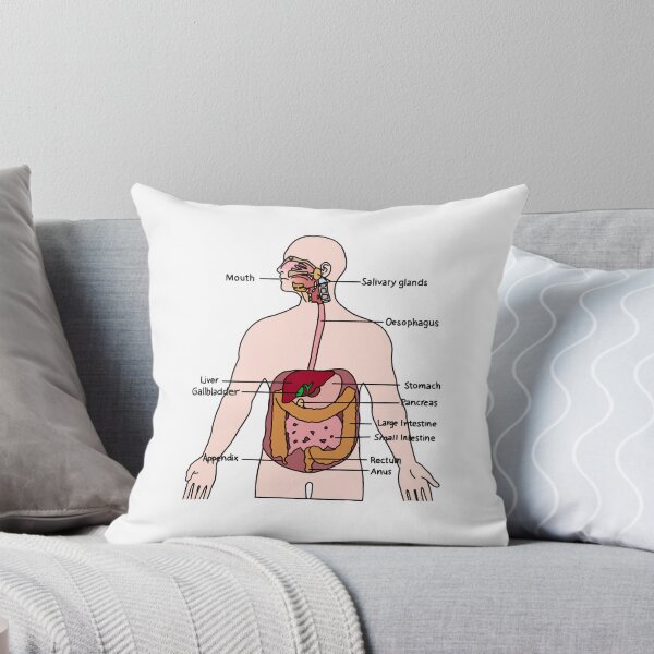 Item preview, Digestive System designed and sold by daisykelly1.
