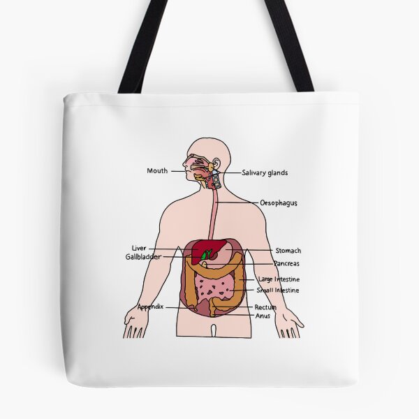 Item preview, Digestive System designed and sold by daisykelly1.