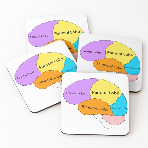 Item preview, Lobes of the brain designed and sold by daisykelly1.