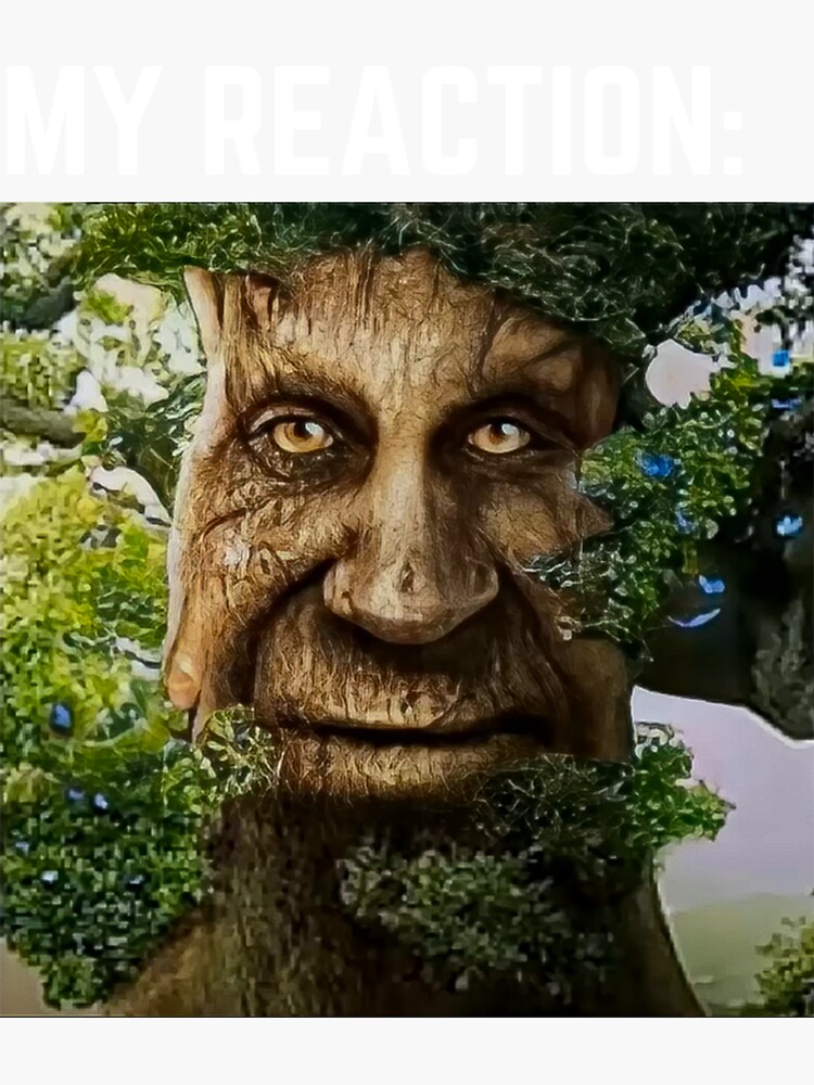 Wise Mystical Tree meme Sticker for Sale by T-Look in 2023