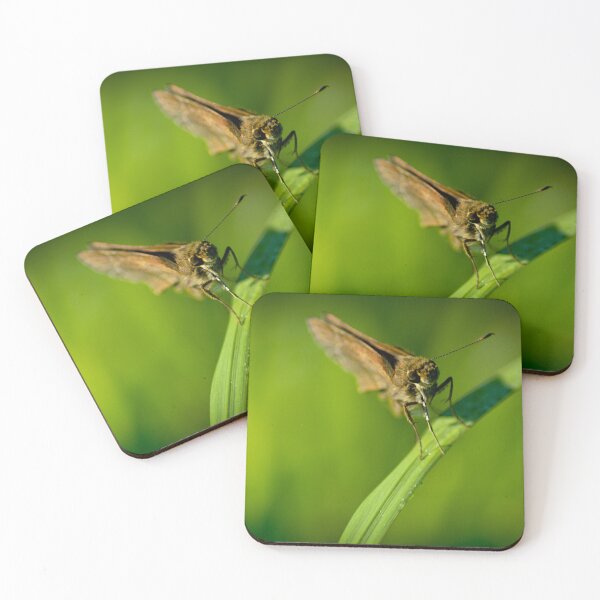 Item preview, Skipper Butterfly designed and sold by depictionly.