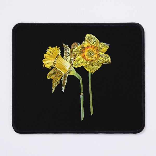Item preview, Narcissus yellow bouquet bud hand drawn black background designed and sold by Yana Mustafina | Boho Soulful Designs.