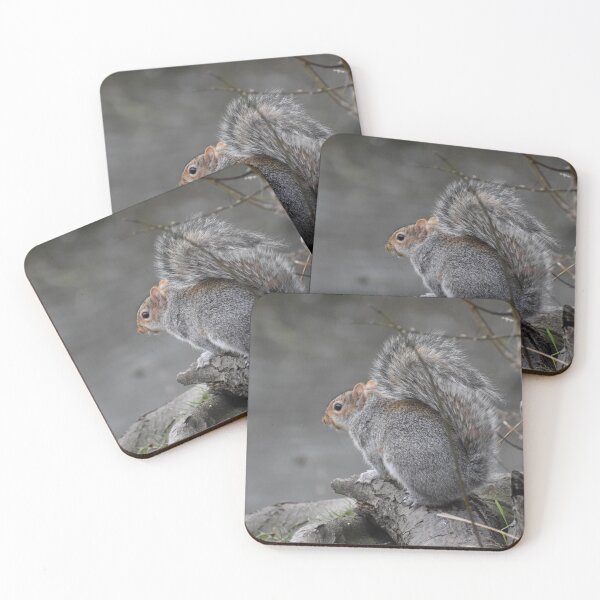 Item preview, Grey Squirrel  designed and sold by SaraTomlinson55.