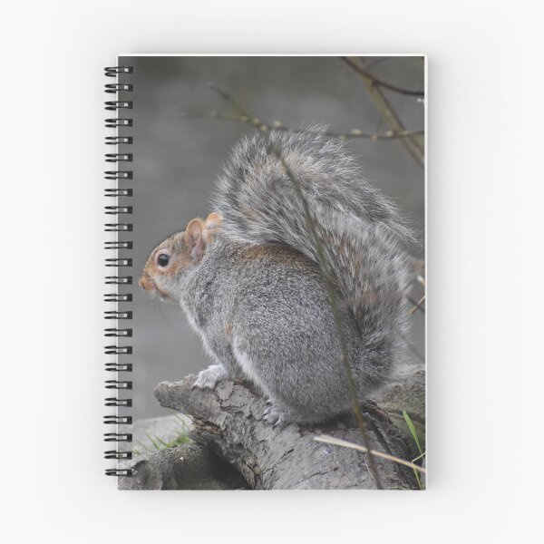 Item preview, Grey Squirrel  designed and sold by SaraTomlinson55.