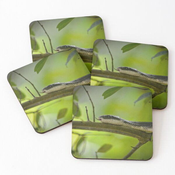 Item preview, Chicken Snake designed and sold by depictionly.