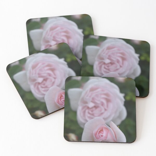 Item preview, Pink Rose designed and sold by SaraTomlinson55.