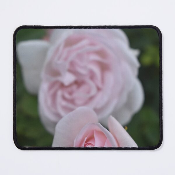 Item preview, Pink Rose designed and sold by SaraTomlinson55.
