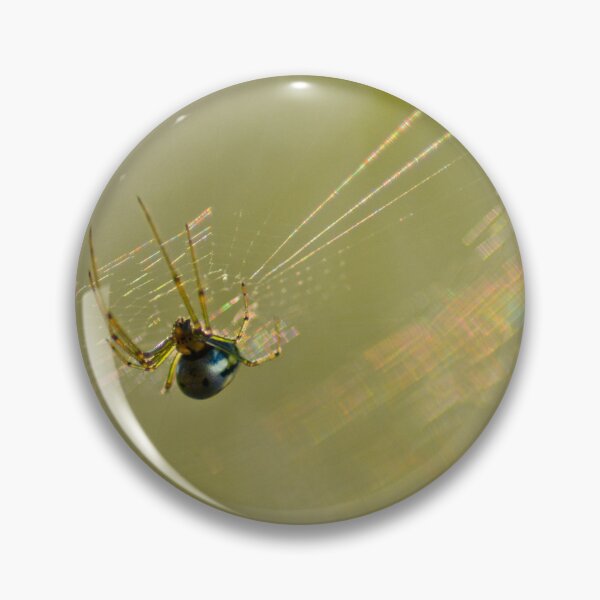 Item preview, Araña de huerta Venusta designed and sold by depictionly.