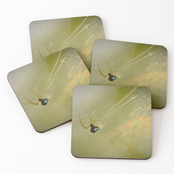Item preview, Venusta Orchard Spider designed and sold by depictionly.