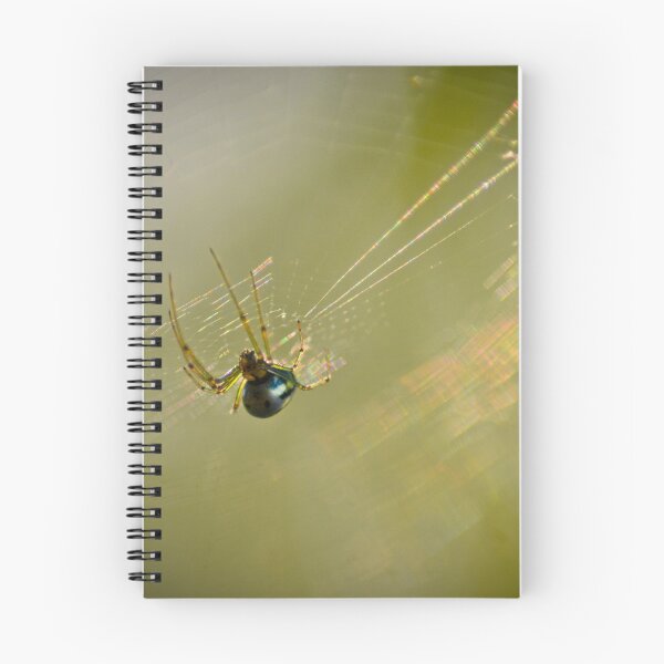 Item preview, Venusta Orchard Spider designed and sold by depictionly.