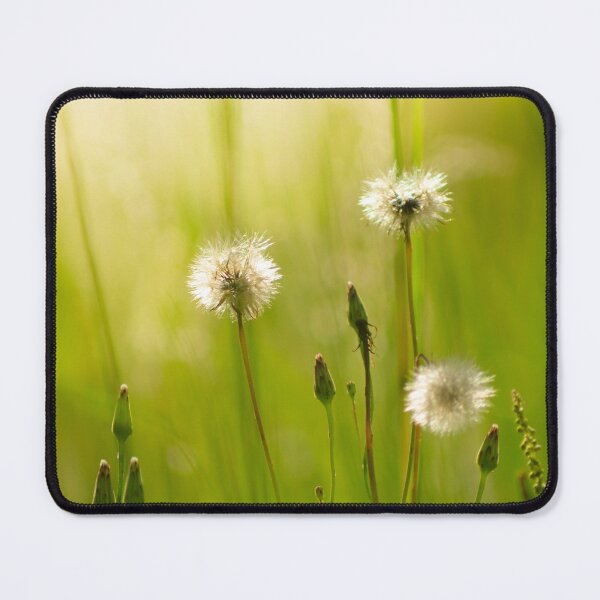 Item preview, Fine Summertime Dandelion designed and sold by depictionly.