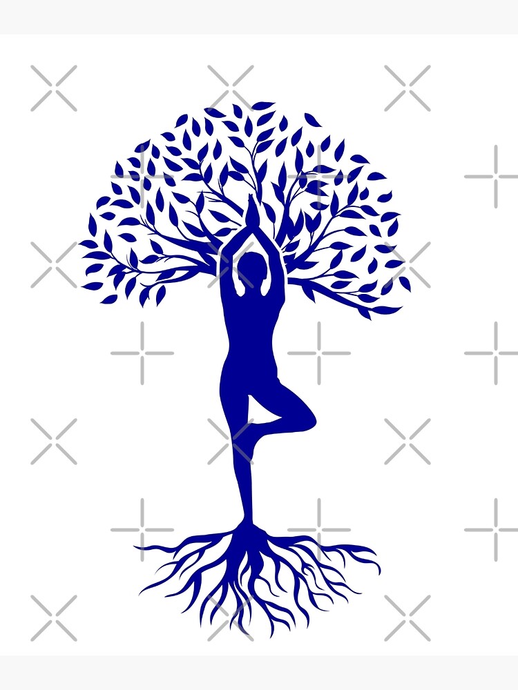 About Us — The Yoga Tree