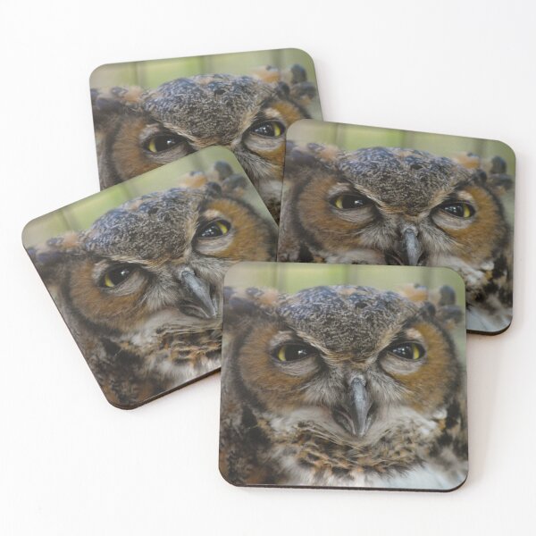Item preview, Cheeky Owl designed and sold by depictionly.