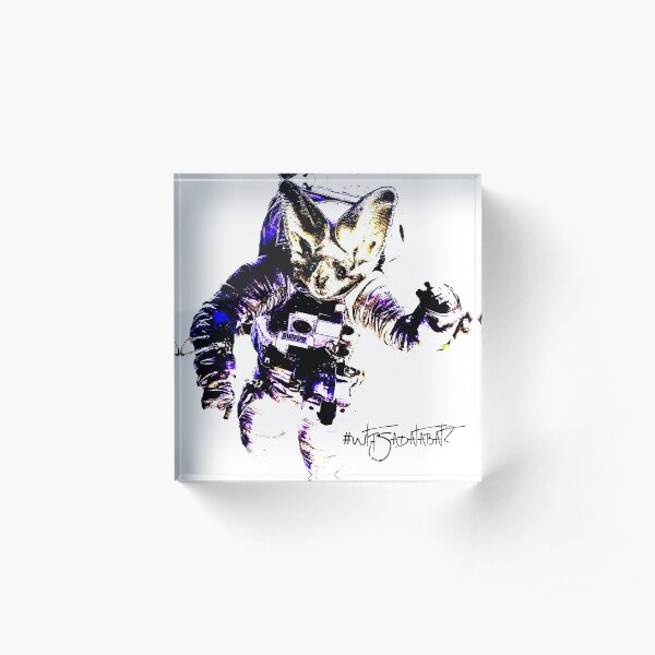 Databat in Space Acrylic Block
